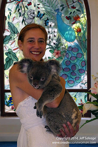 Koala Cuddle 